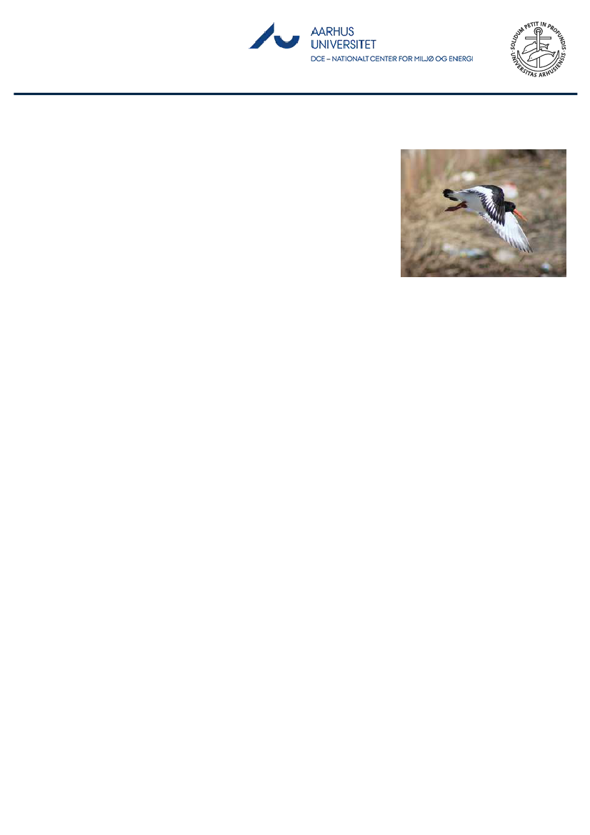 1851457_0059.png
