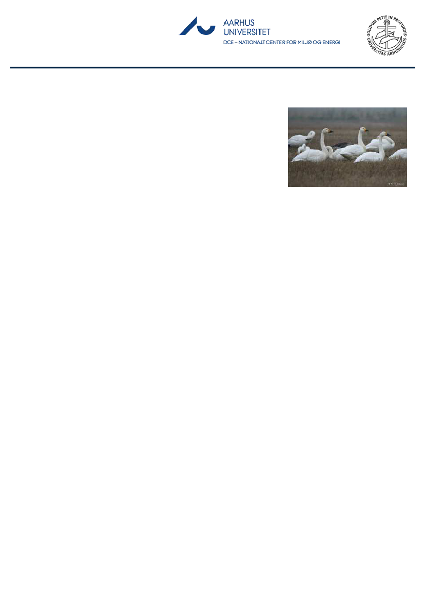 1851457_0060.png