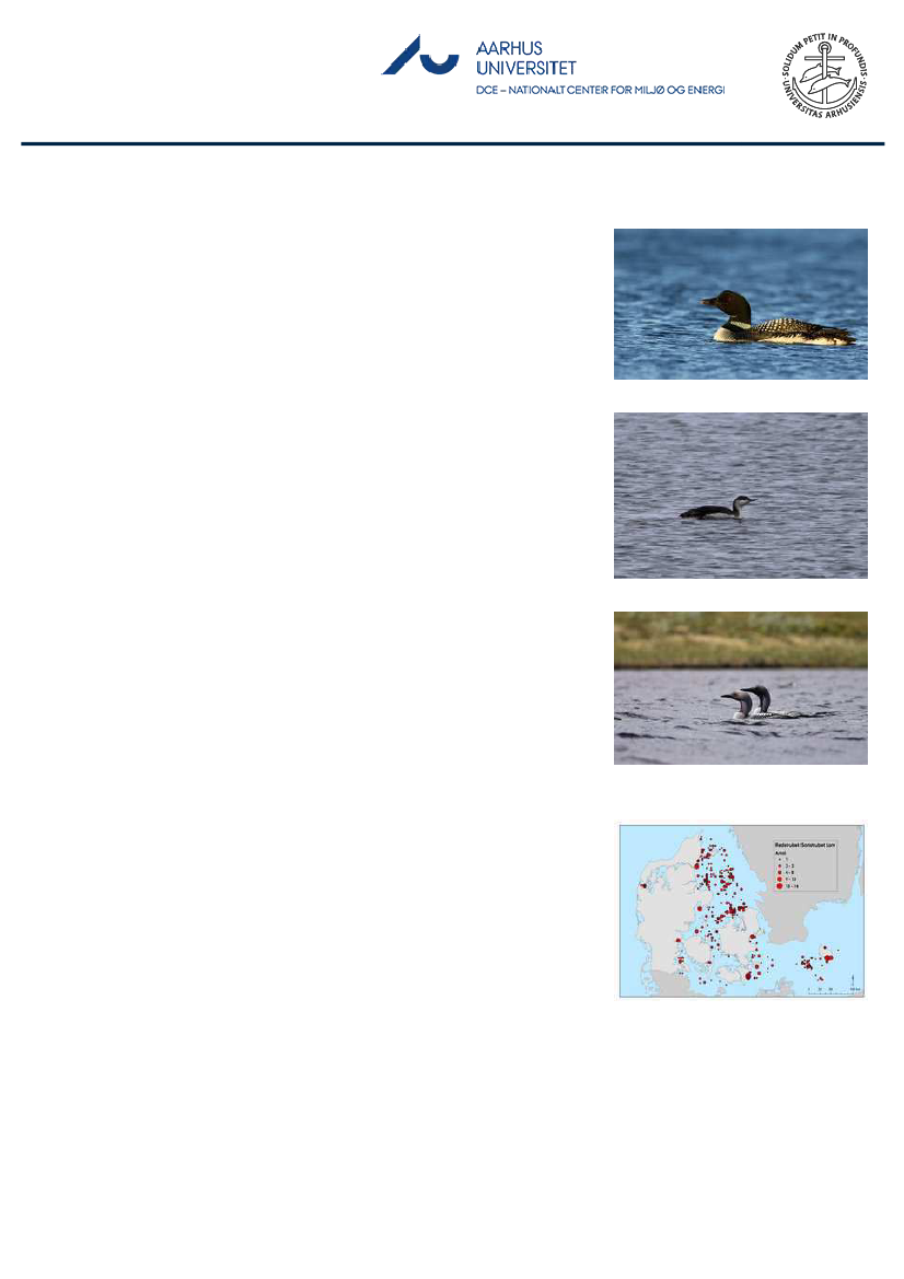 1851457_0066.png