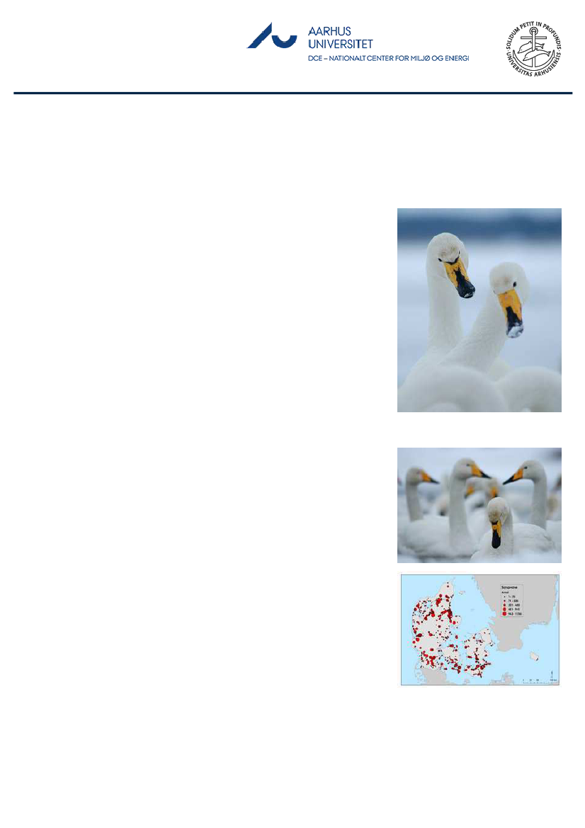 1851457_0074.png