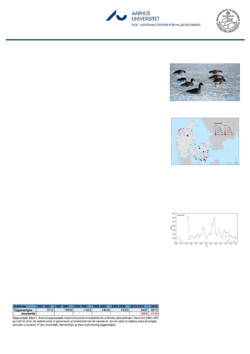 1851457_0076.png