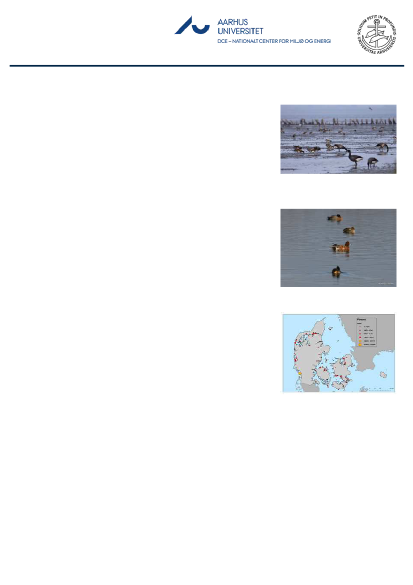 1851457_0096.png