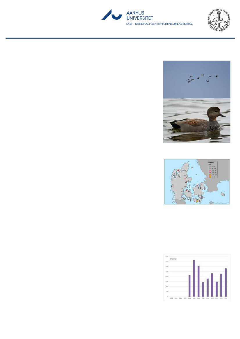 1851457_0098.png