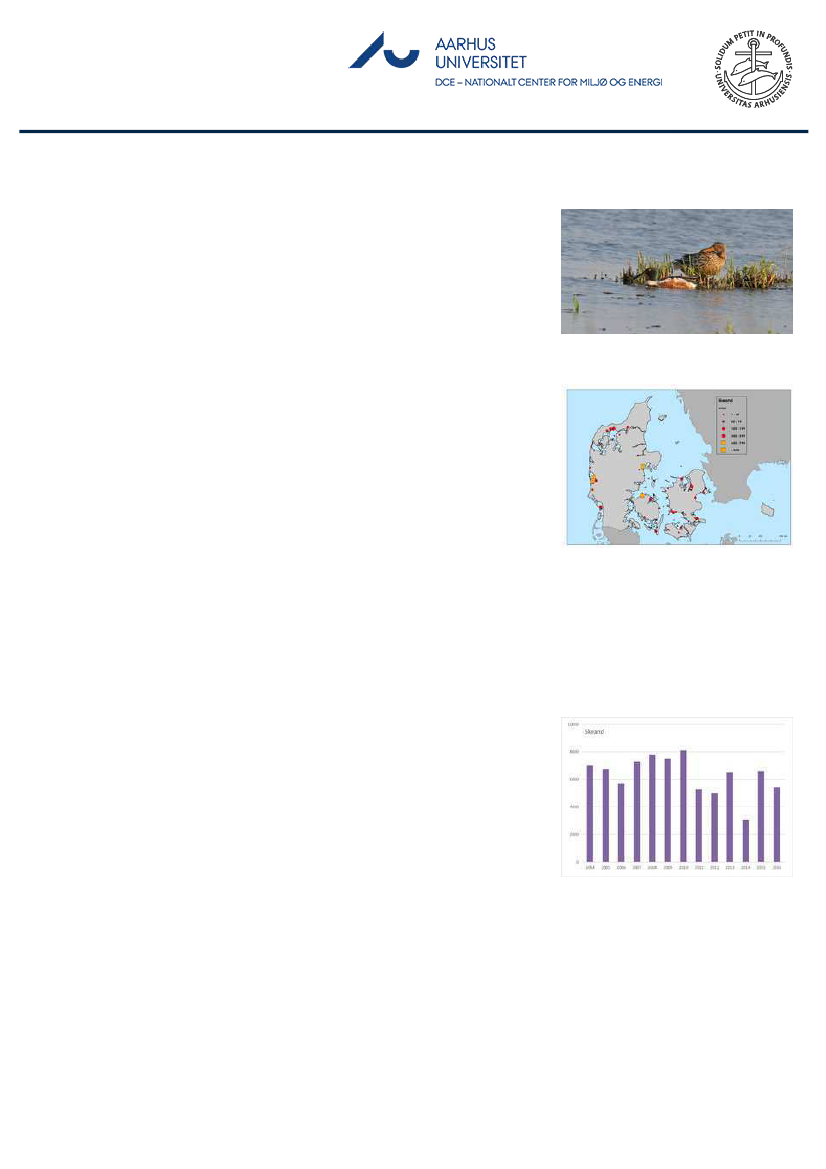 1851457_0106.png