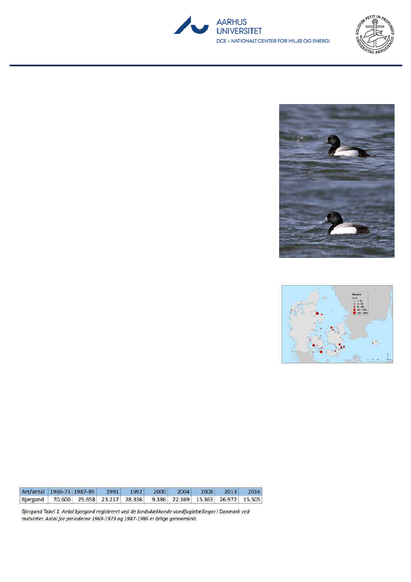 1851457_0112.png