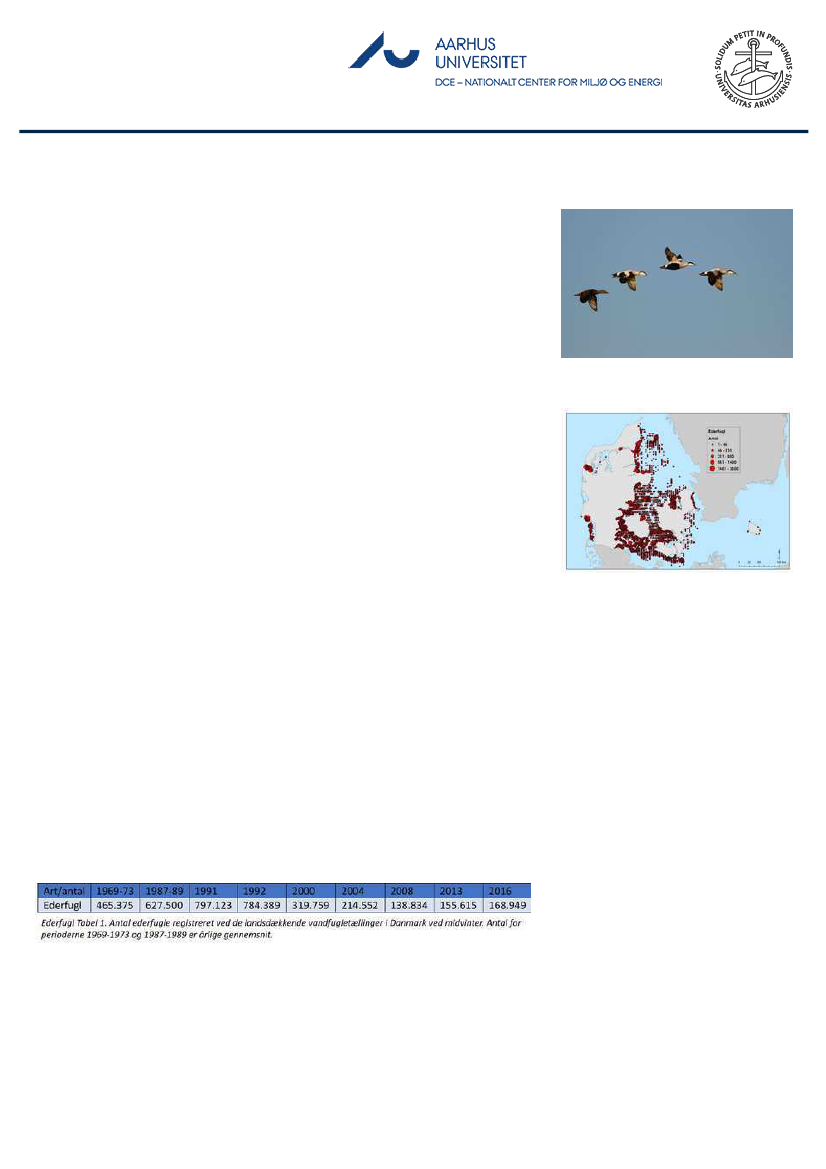 1851457_0114.png