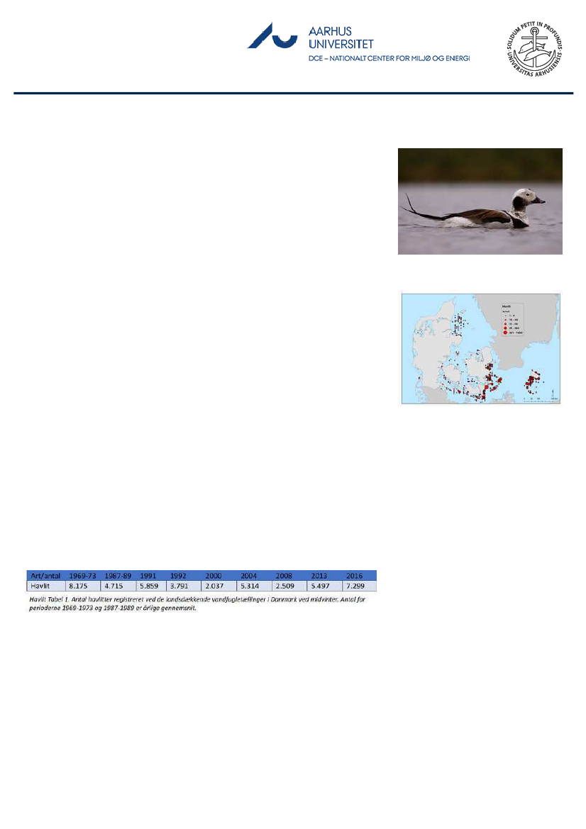 1851457_0116.png