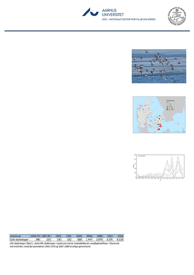 1851457_0124.png