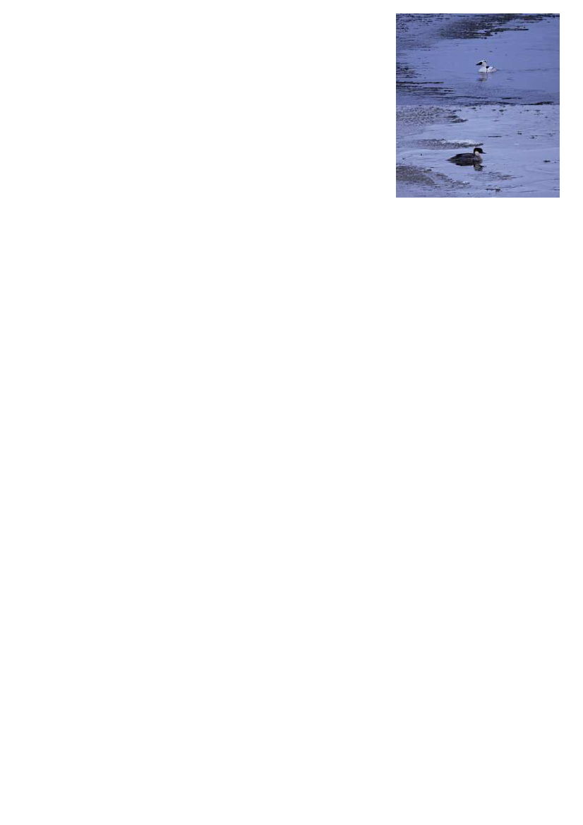 1851457_0125.png