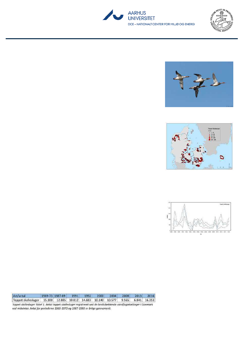 1851457_0126.png