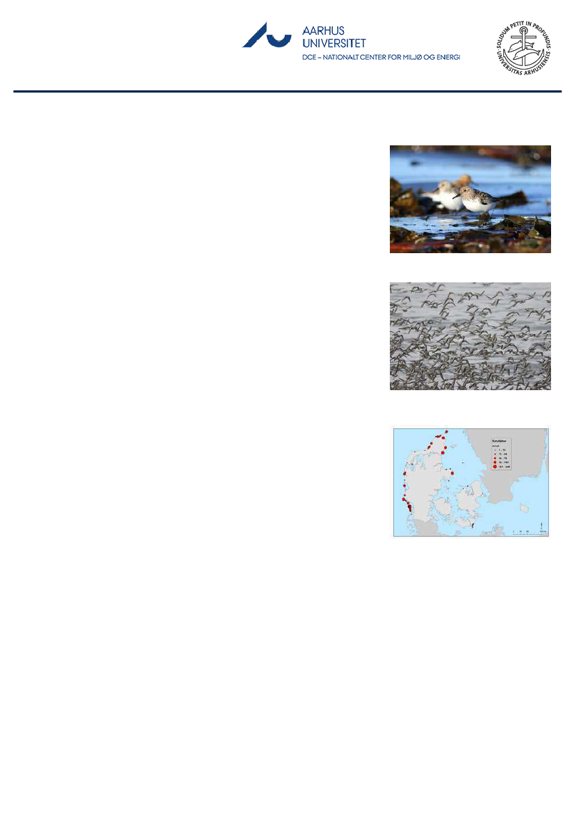 1851457_0132.png