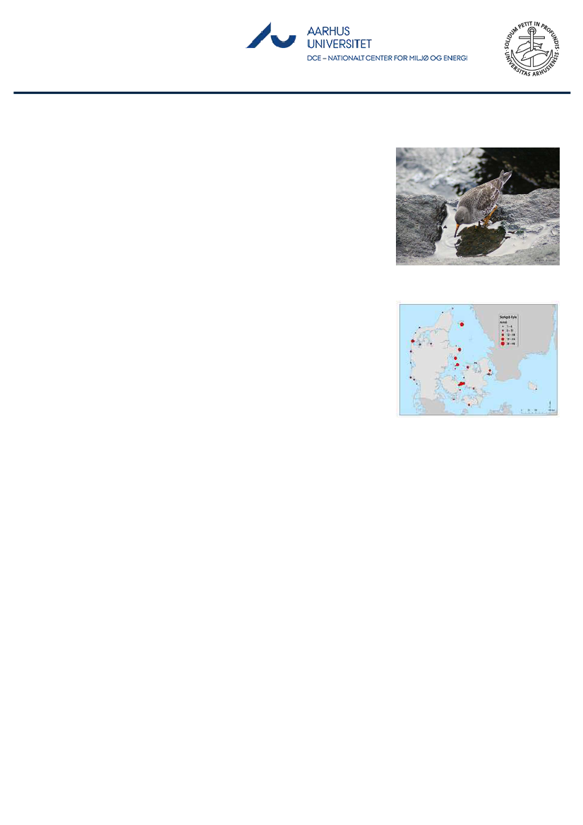 1851457_0136.png