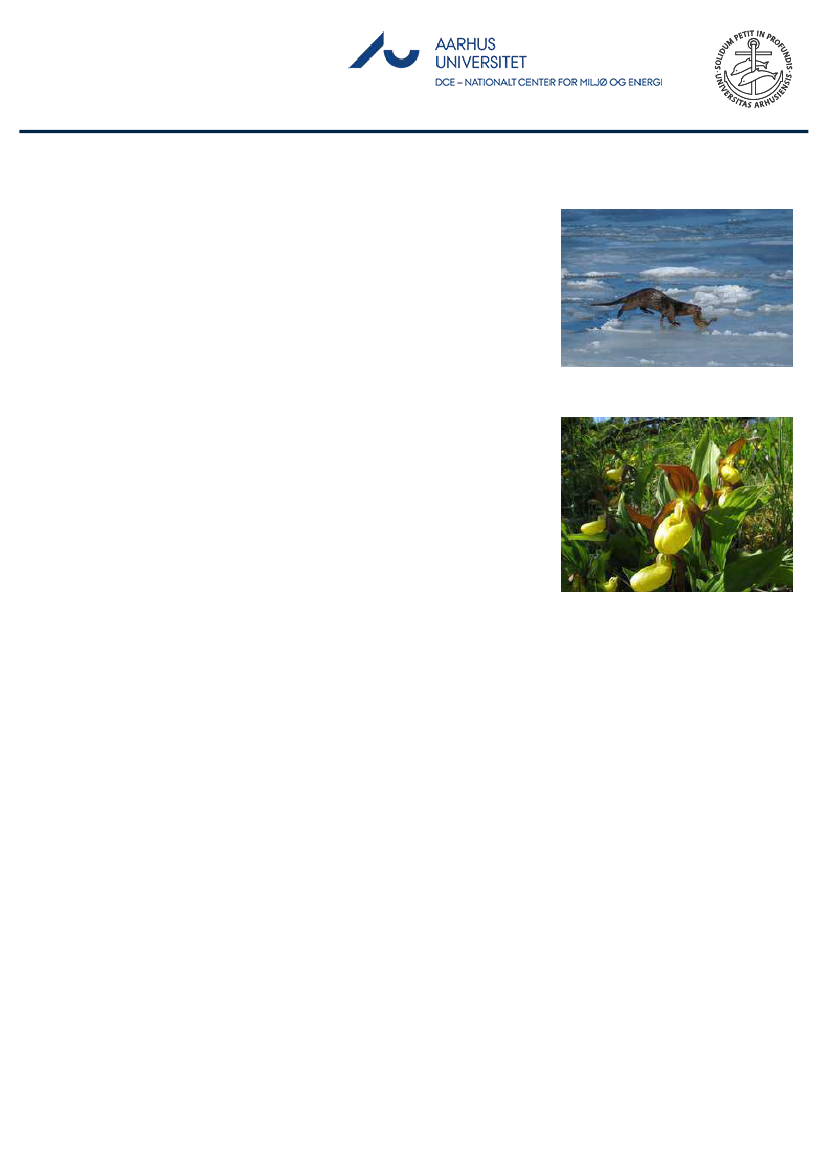 1851458_0010.png