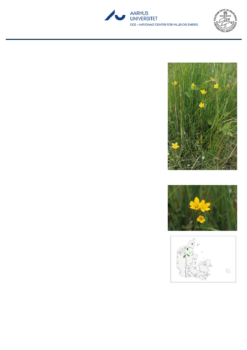 1851458_0015.png