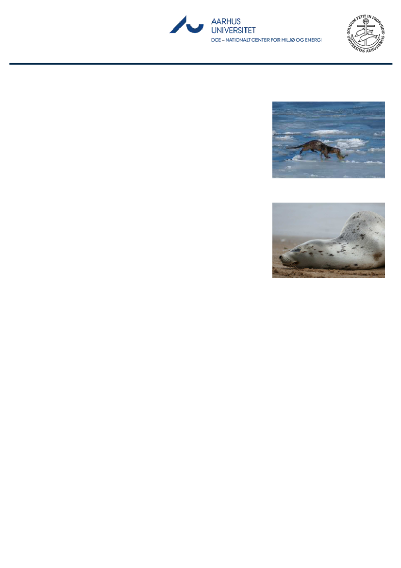 1851458_0025.png