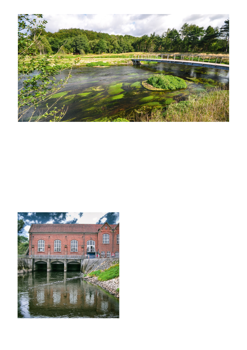 1875912_0005.png