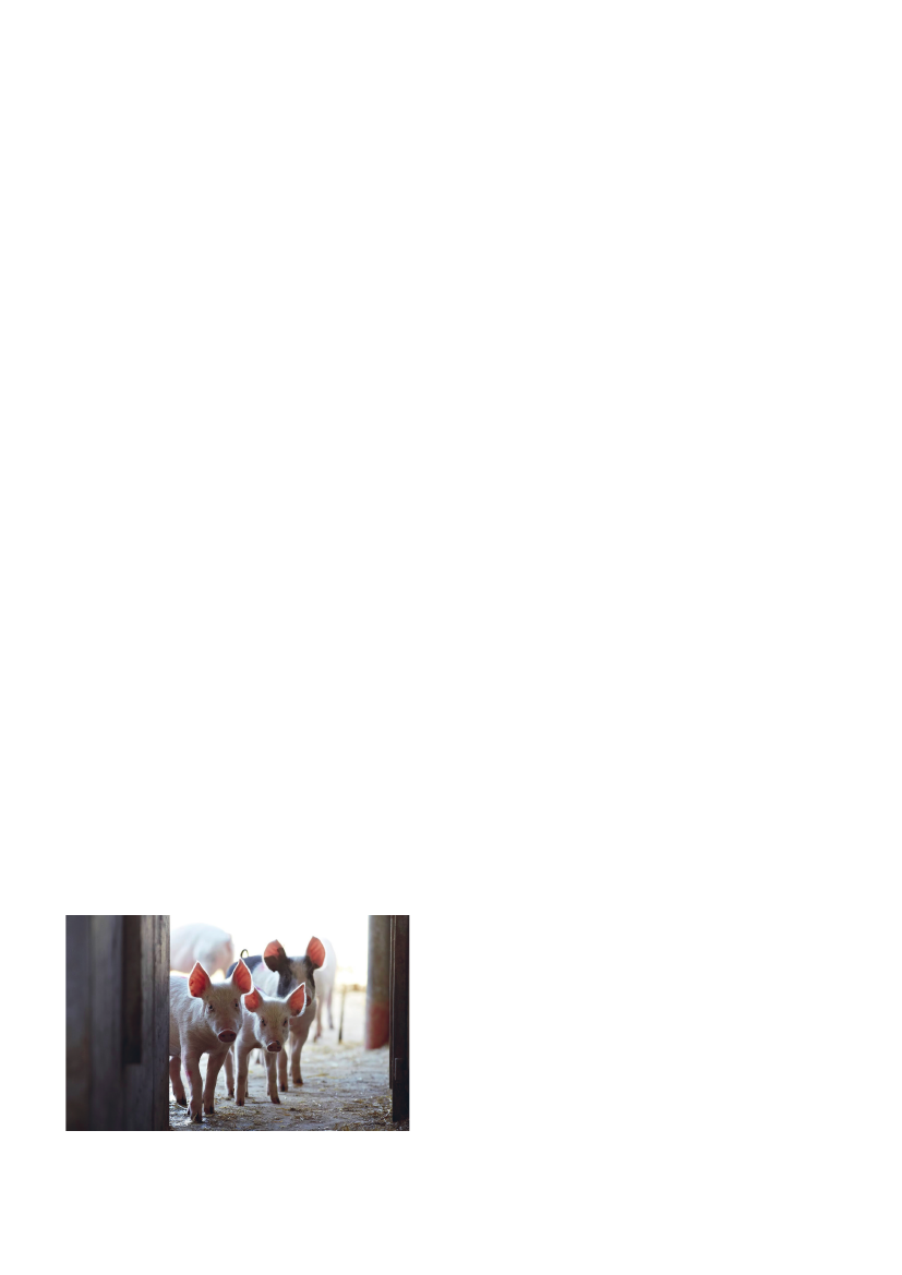 1878350_0004.png