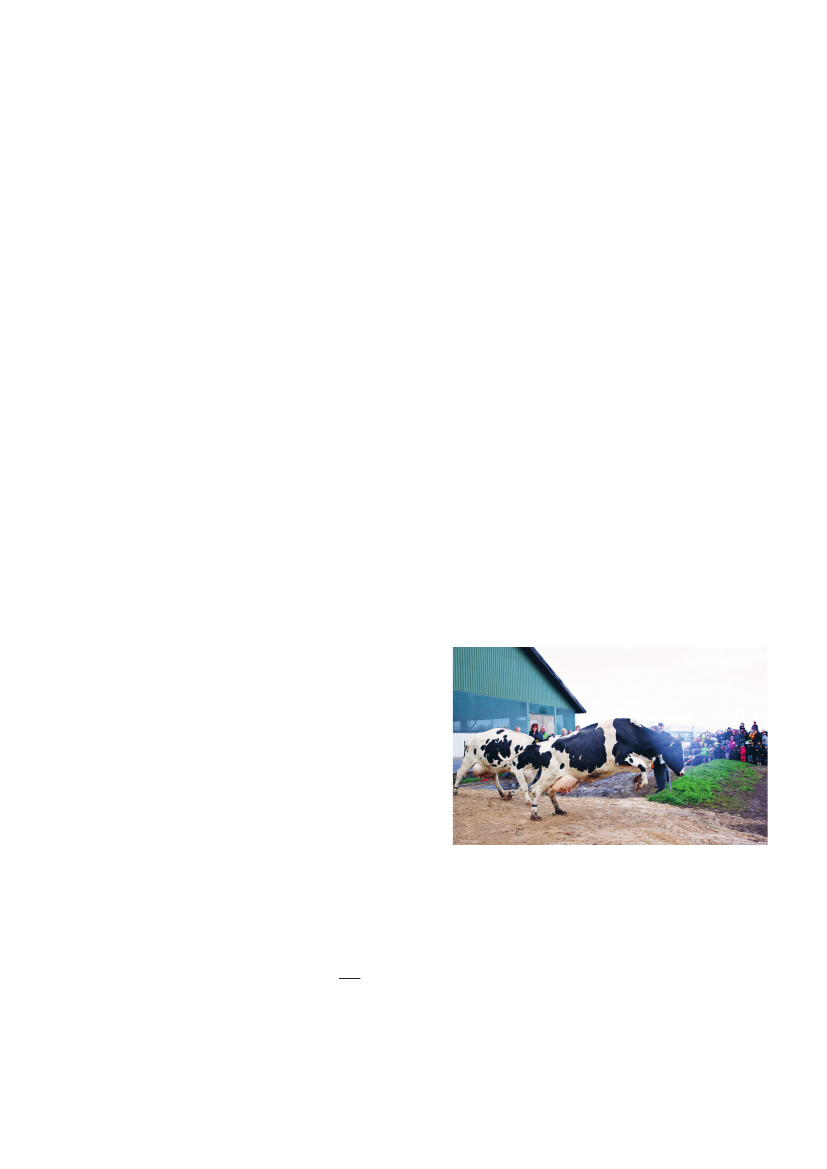 1878350_0005.png