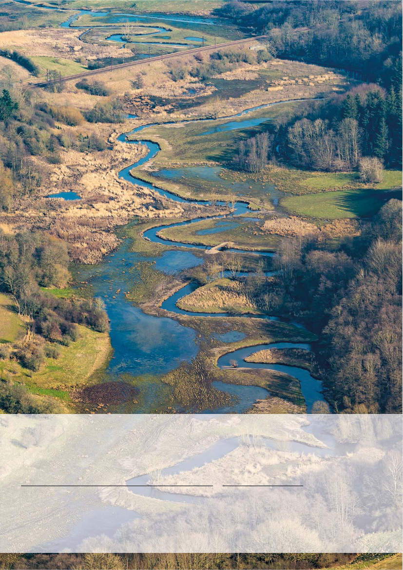 1887491_0001.png