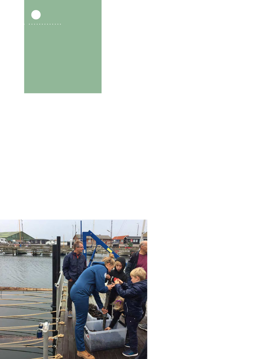 1895921_0018.png