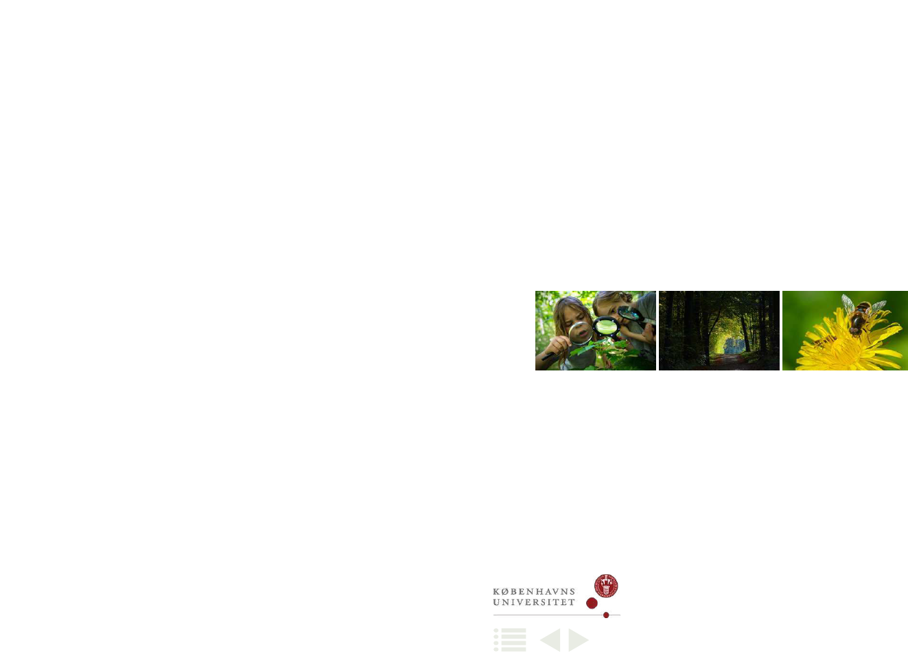 1917094_0002.png