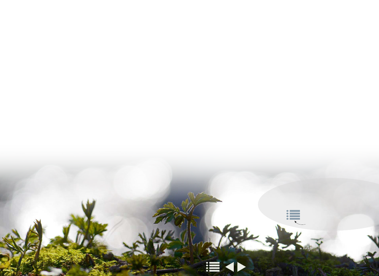 1917094_0003.png