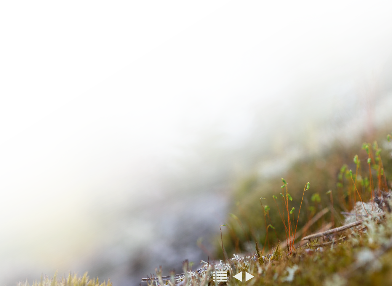1917094_0008.png