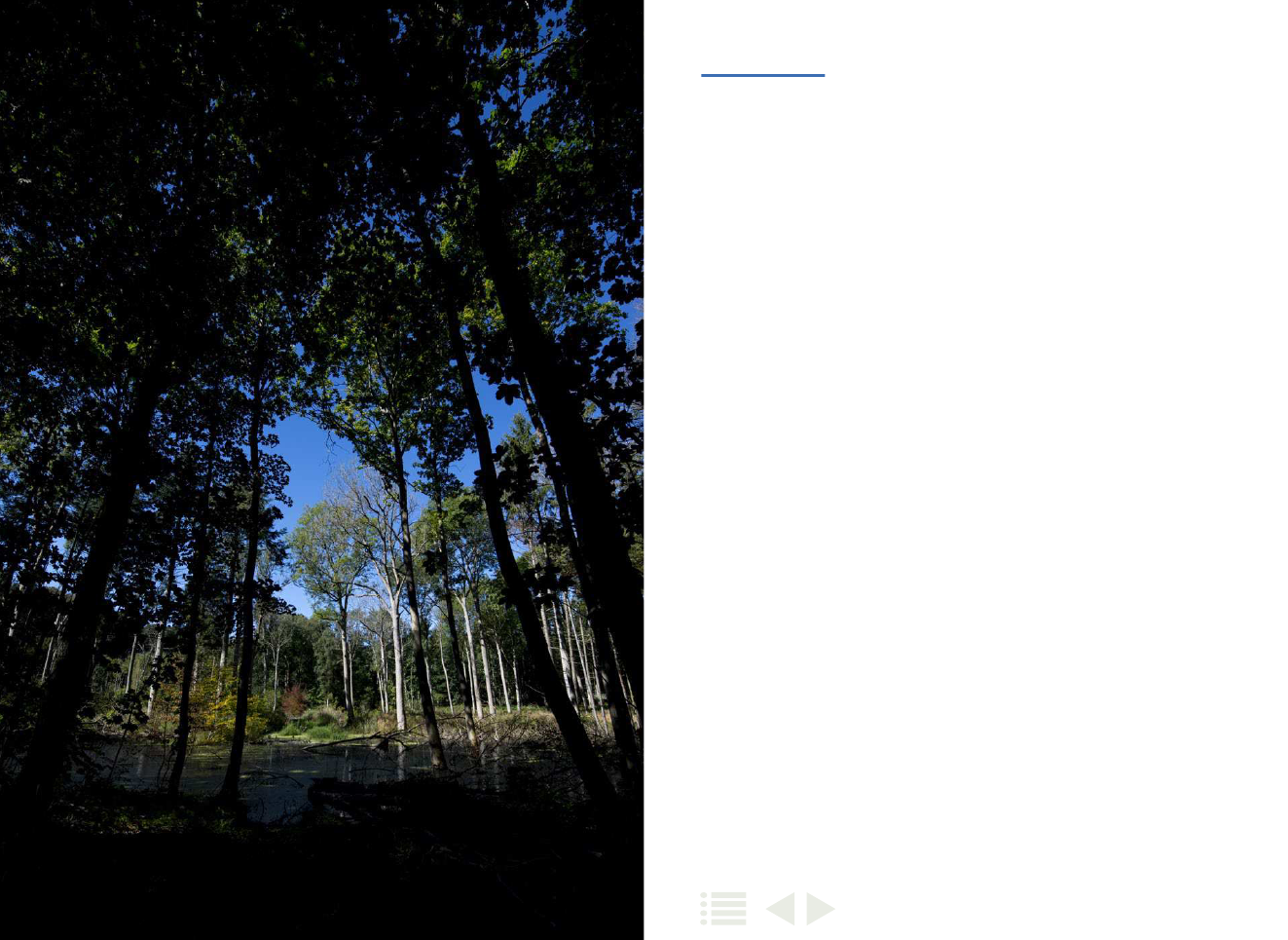 1917094_0033.png