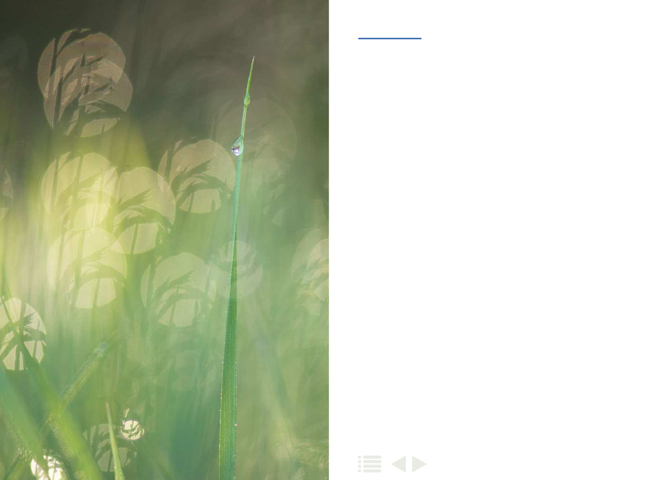1917094_0038.png