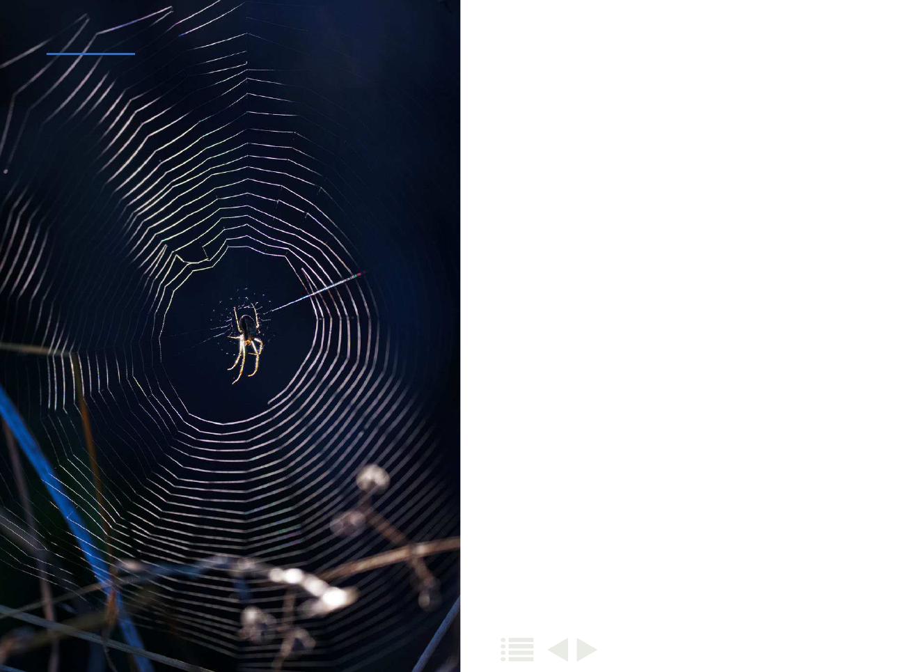 1917094_0040.png