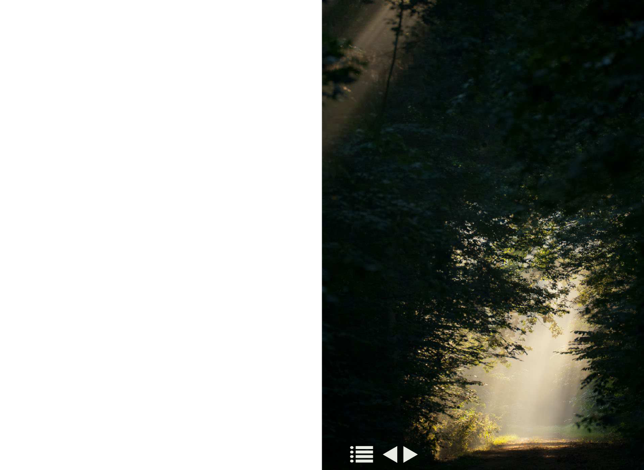 1917094_0088.png