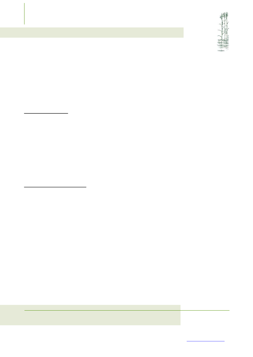 1917248_0003.png