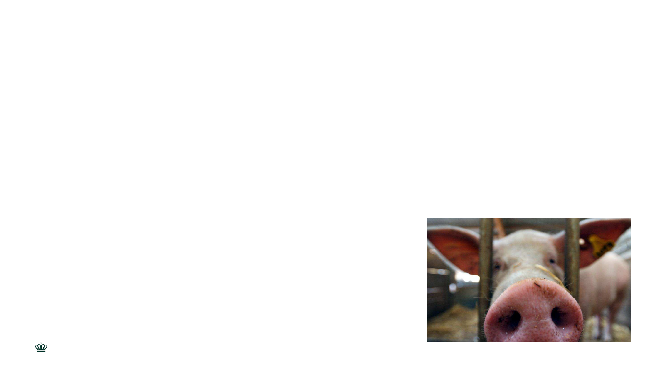 1930363_0004.png