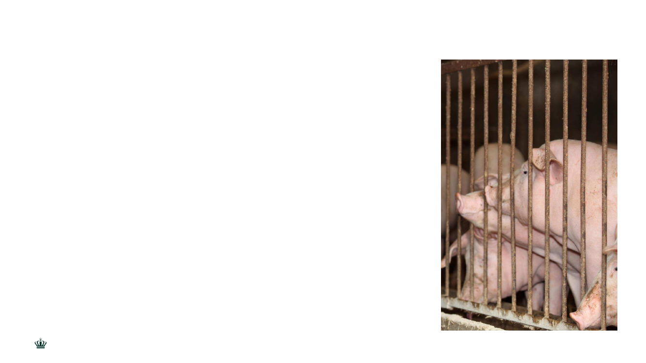 1930363_0007.png