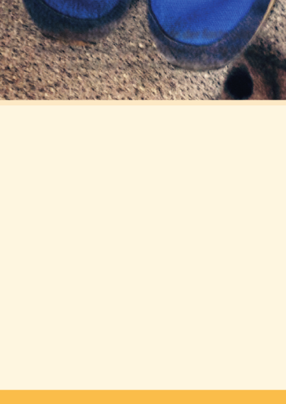 1933586_0006.png