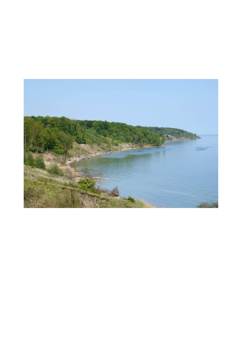 1948869_0004.png