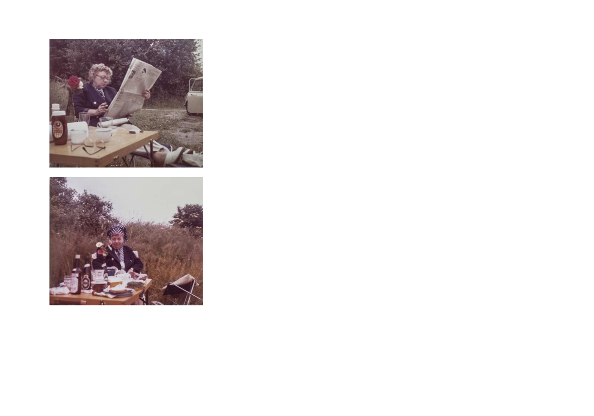 1951052_0014.png
