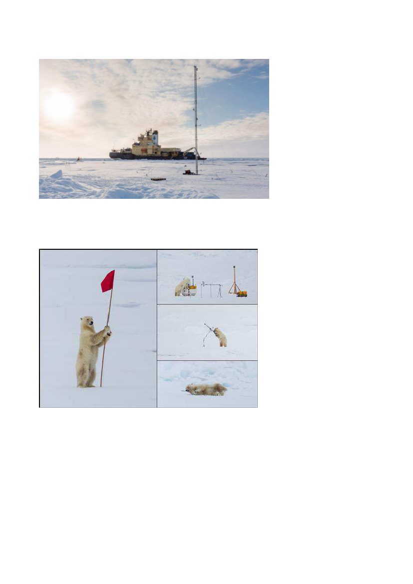 1951204_0008.png