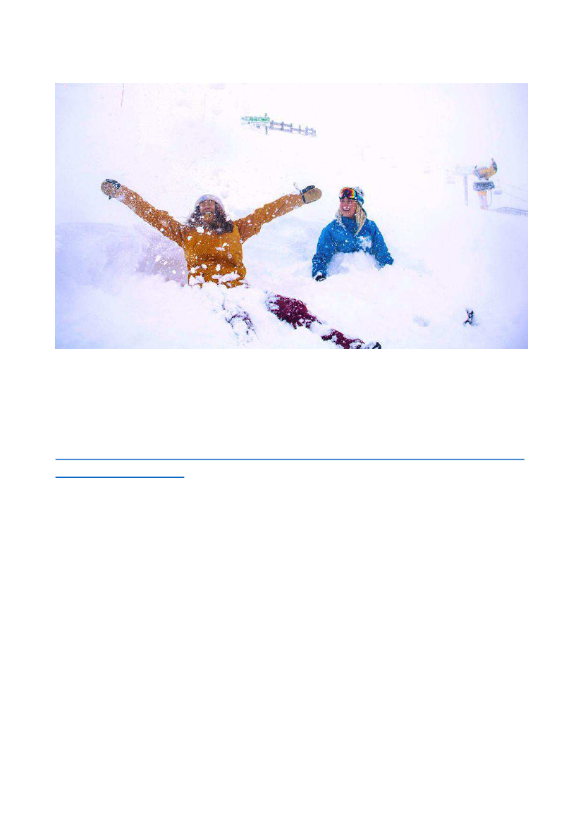 1951204_0012.png
