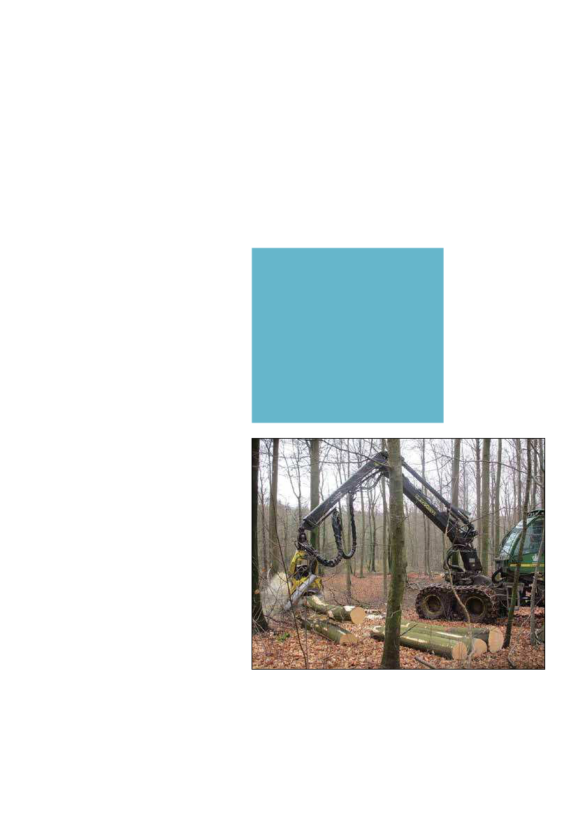 1951829_0006.png
