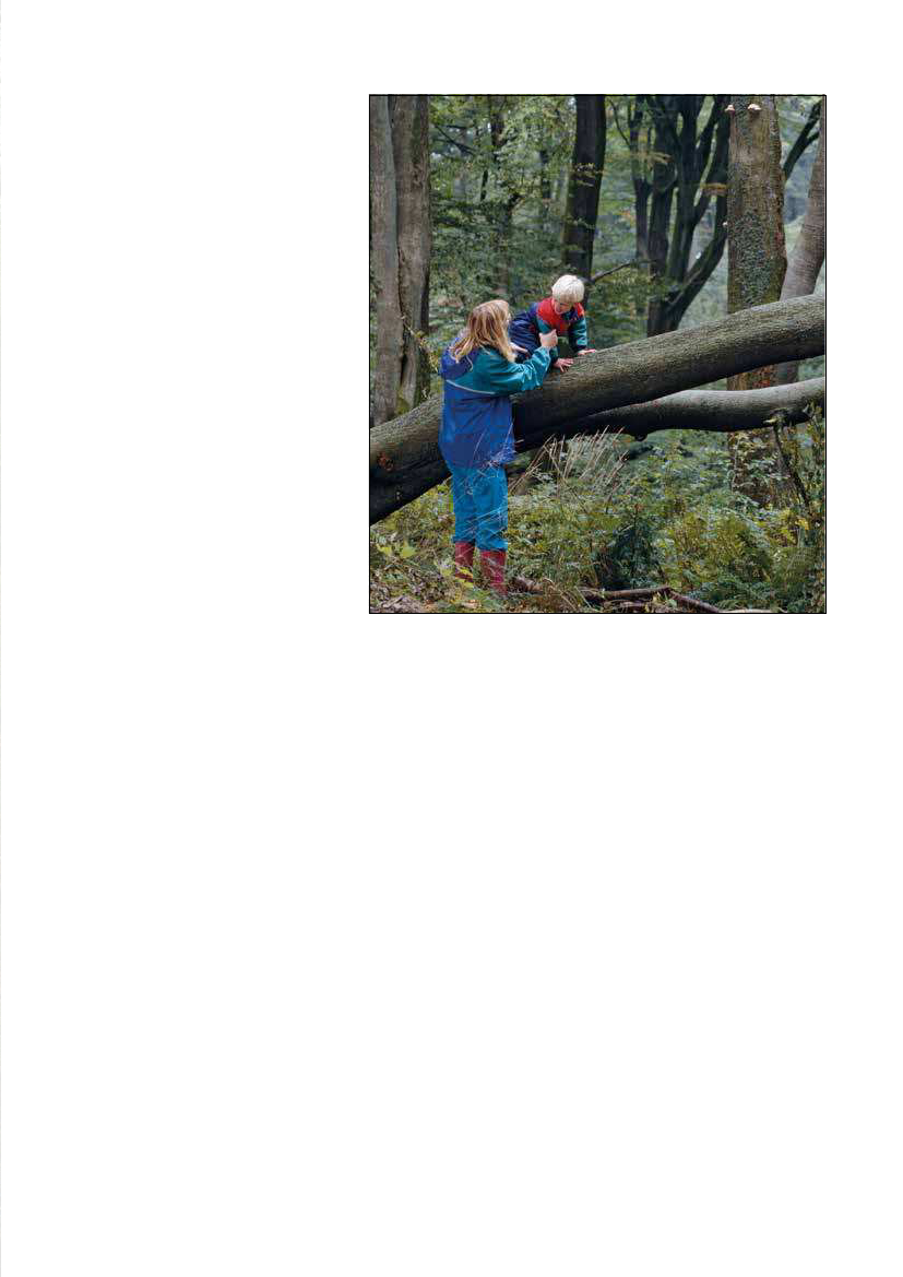 1951829_0009.png