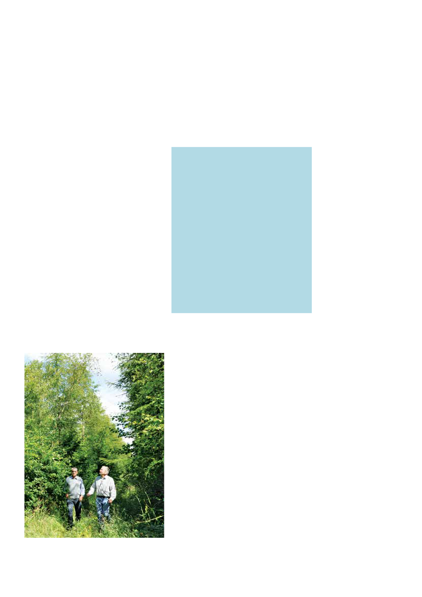 1951829_0013.png