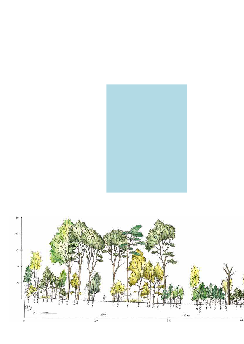 1951829_0022.png