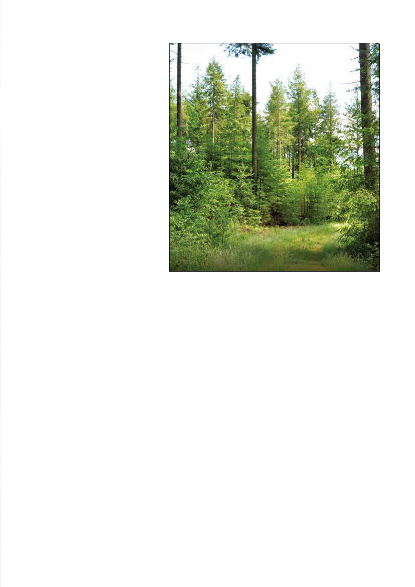 1951829_0029.png