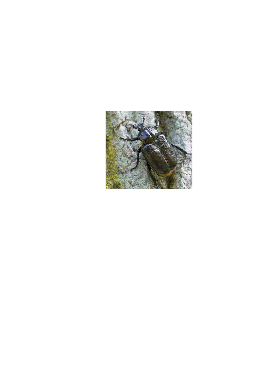 1951829_0031.png