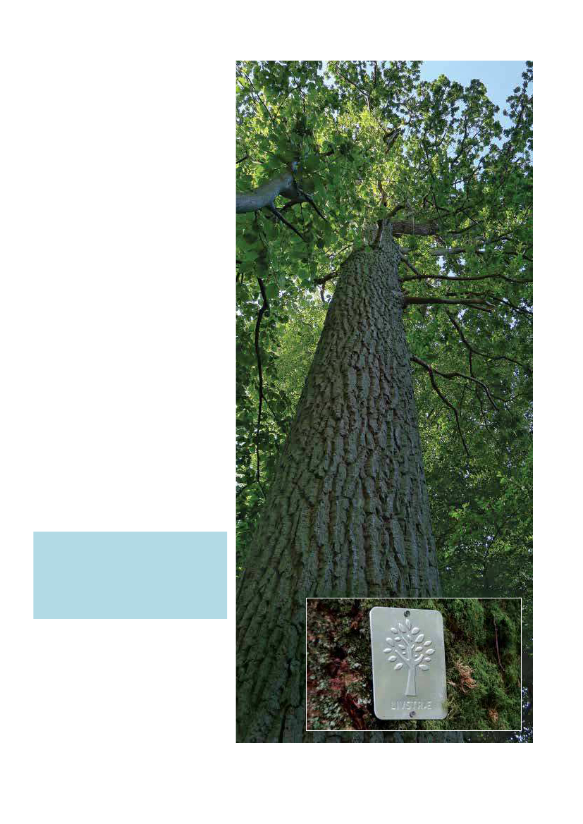 1951829_0033.png