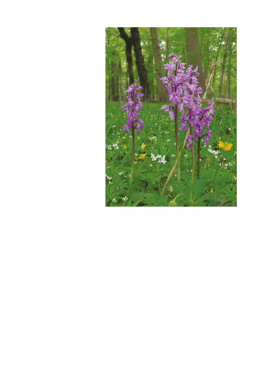 1951829_0035.png