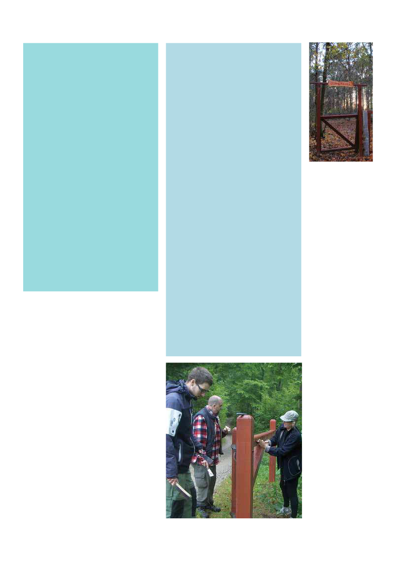 1951829_0041.png