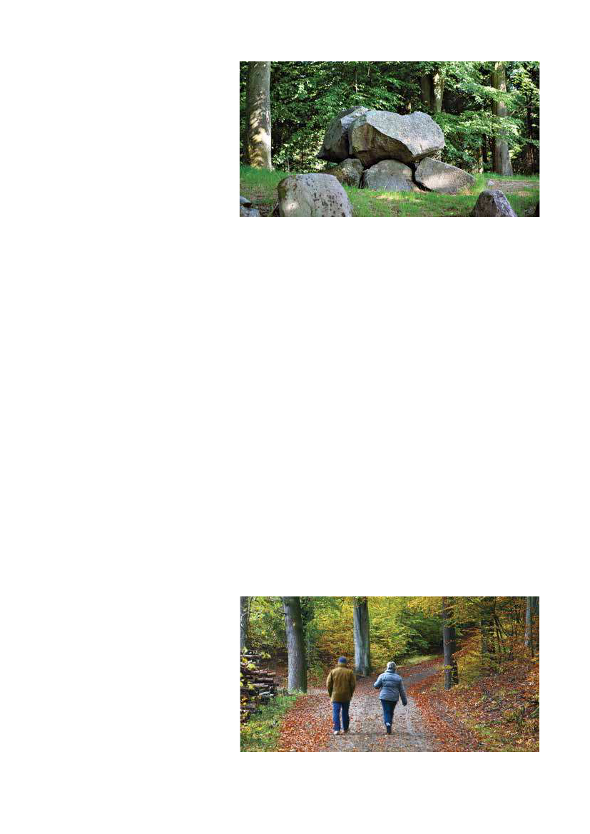 1951829_0045.png