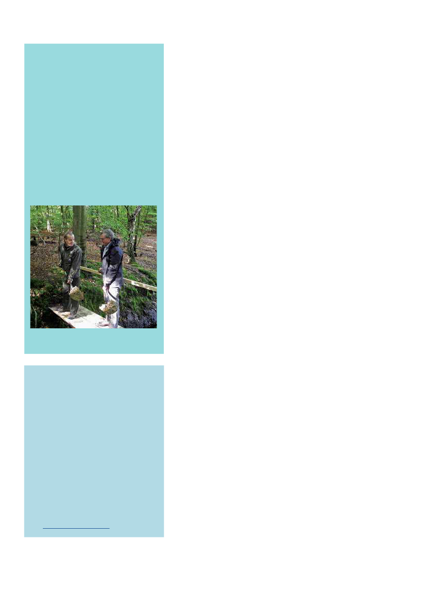 1951829_0047.png